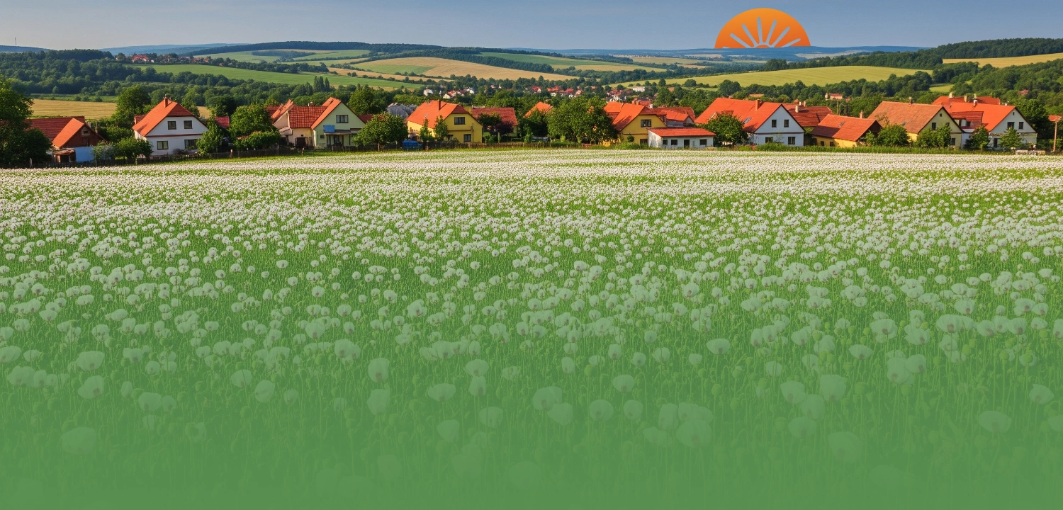 agrosell main slide 4