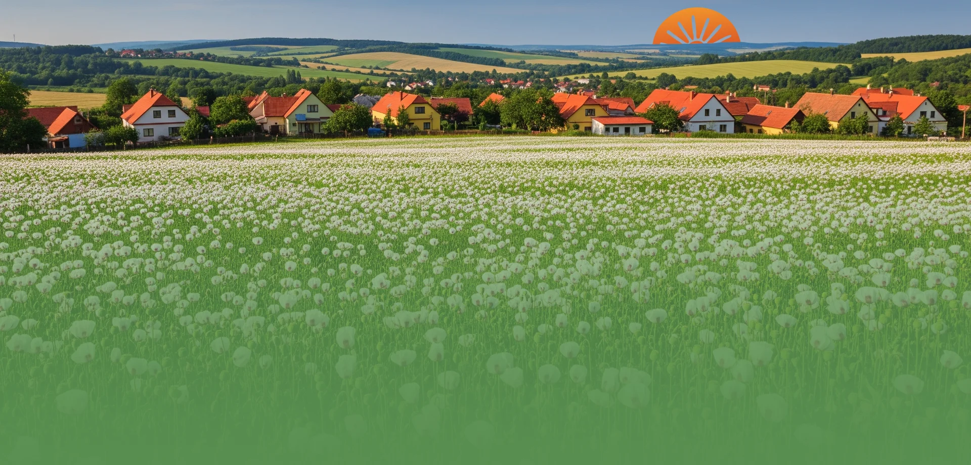 agrosell main slide 5